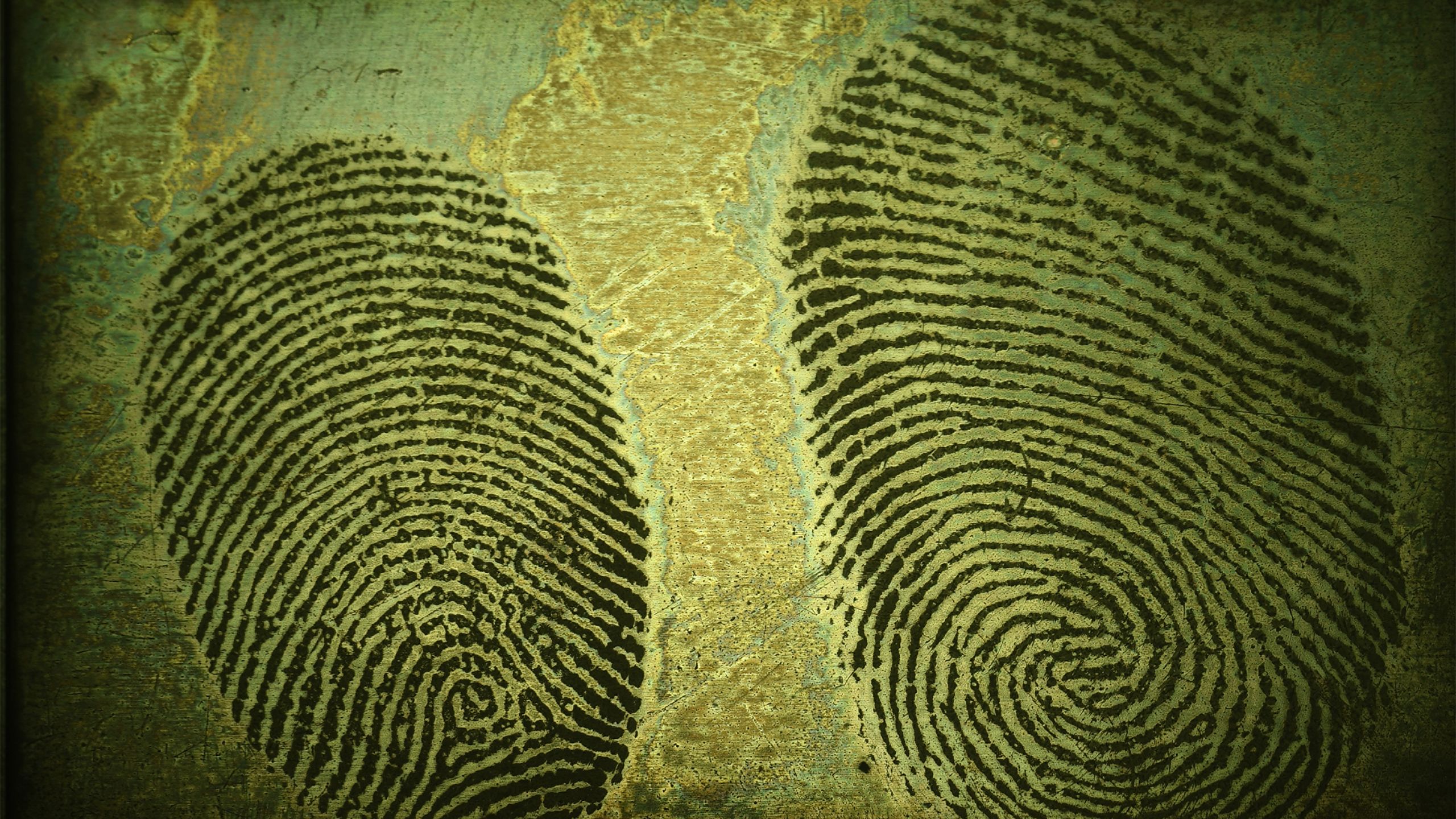 Image of fingerprints