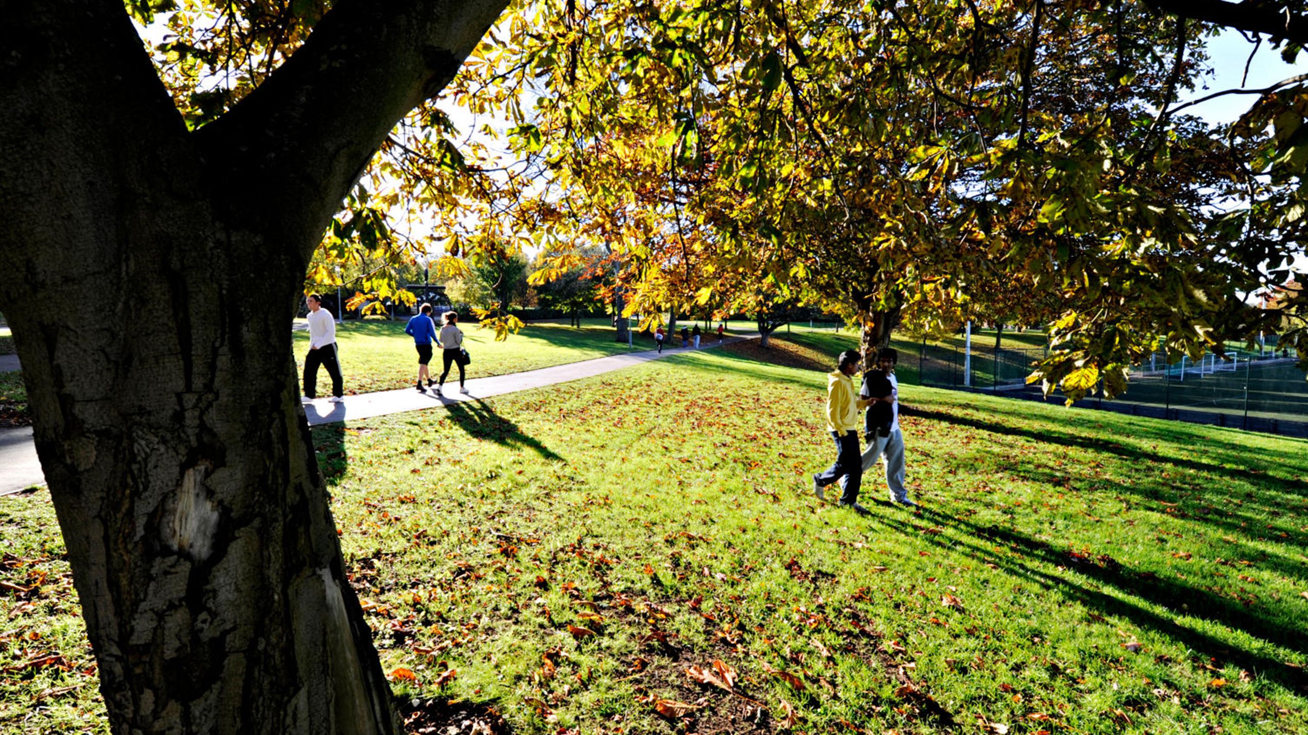 Students walking across leafy campus